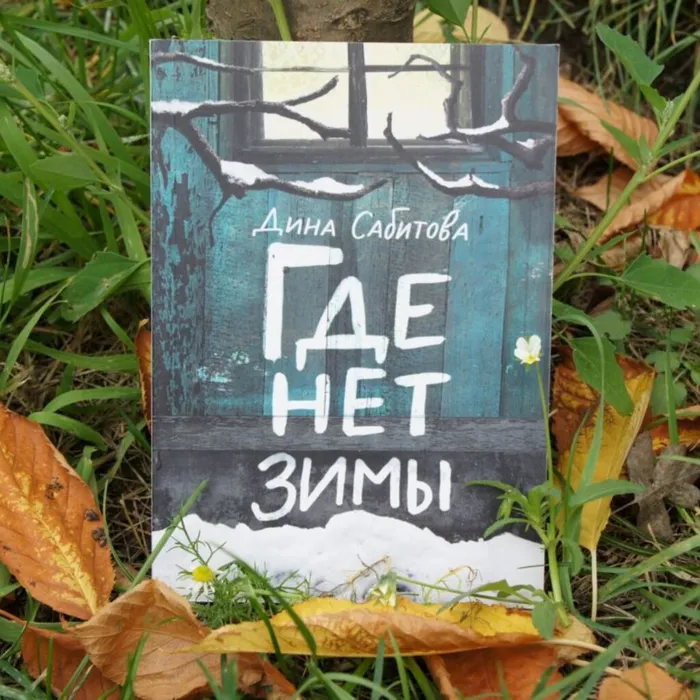 "Сиротское детство". О книге Дины Сабитовой "Где нет зимы". 