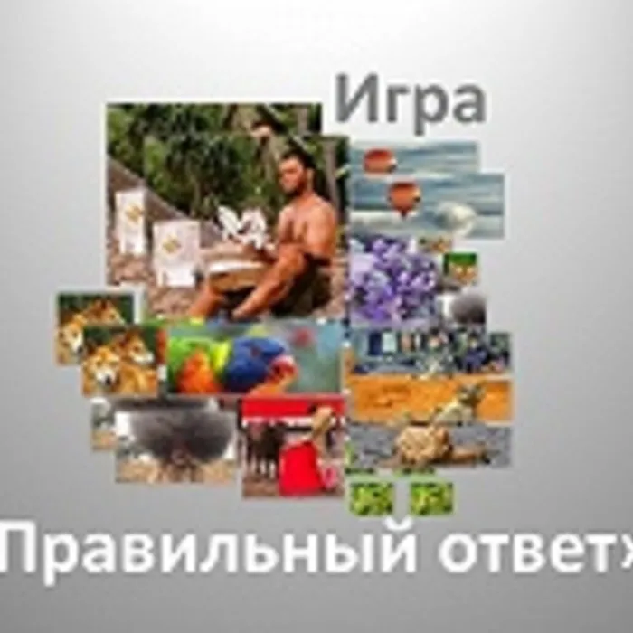 Интеллектуальная викторина