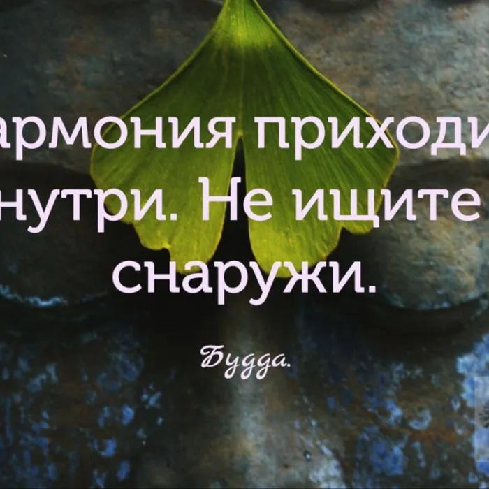 Жить в гармонии с собой