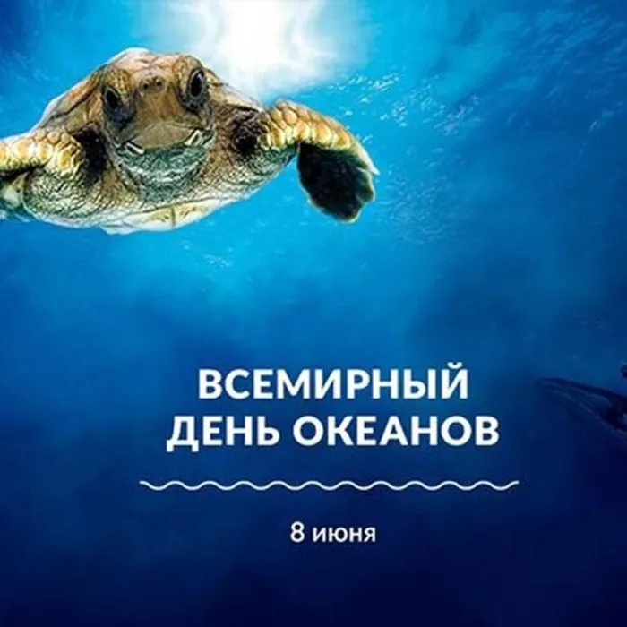 Виртуальный обзор книг для детей "Невероятные чудеса мирового океана"