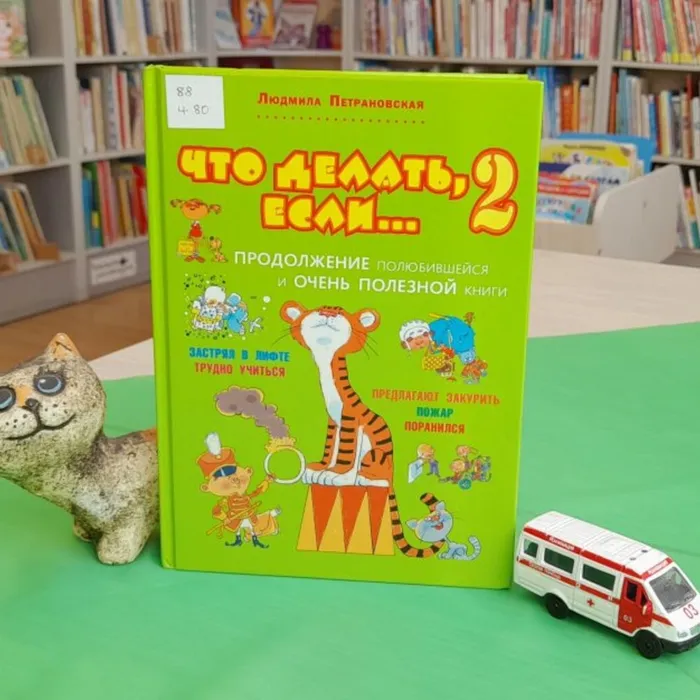 О книге Людмилы Петрановской «Что делать, если…2»