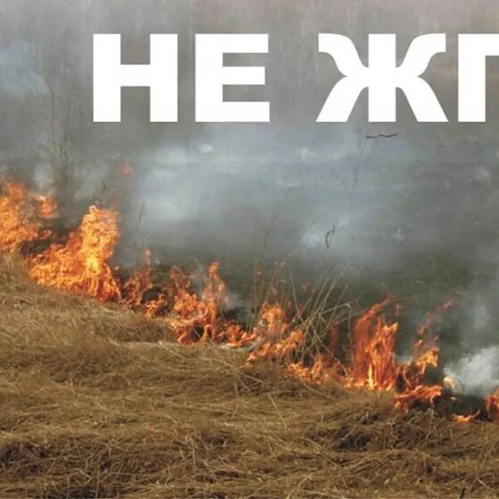 Весенний пал травы – это преступление против природы!