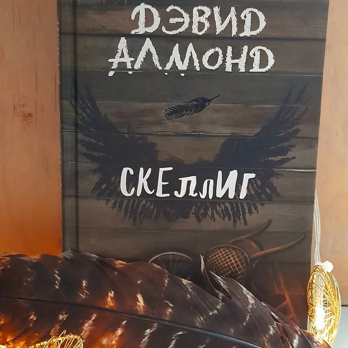 О книге Дэвида Алмонда "Скеллиг"