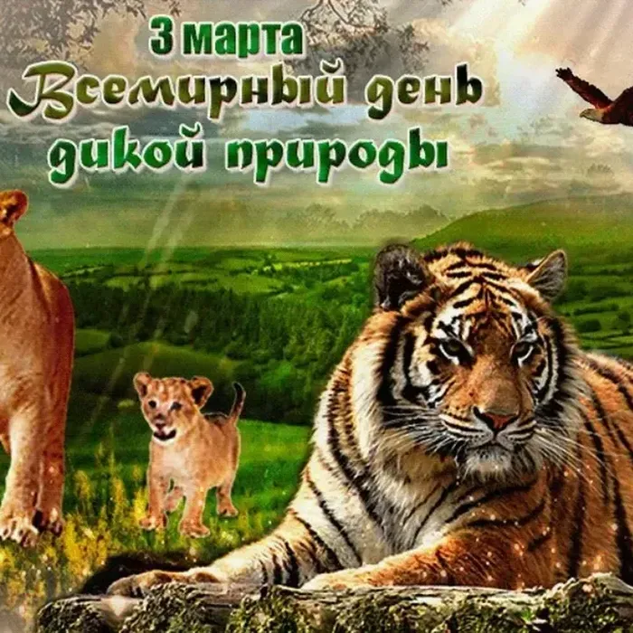 3 марта - Всемирный день дикой природы: время заботы о нашем общим наследии!