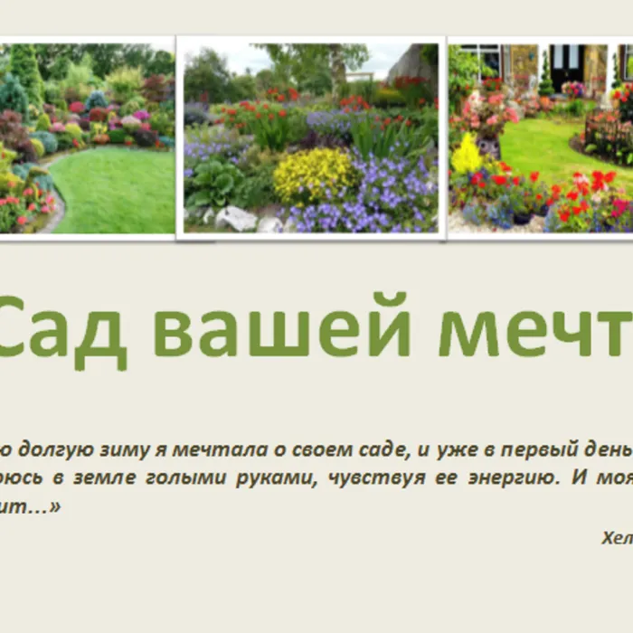 Обзор интересных и полезных книг по садоводству, и о том как сделать свой любимый сад неповторимым и красивым.